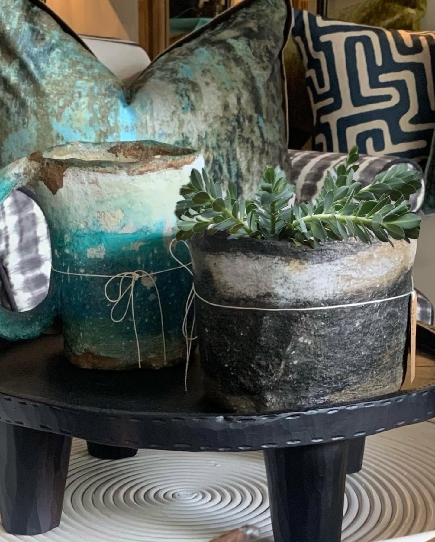 Vessels with a succulent